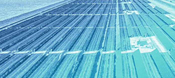 solar farm aerial shot, with blue overlay