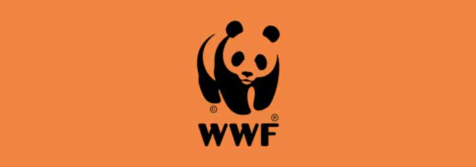 EWC_WWF_Logo bright orange background